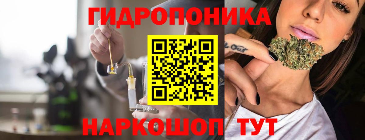 Бошки Шишки Bruce Banner Великий Устюг